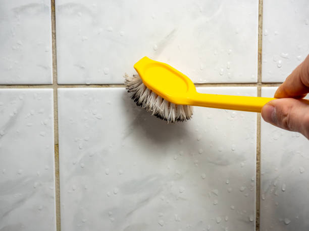 Best Industrial Mold Remediation in Victoria, VA