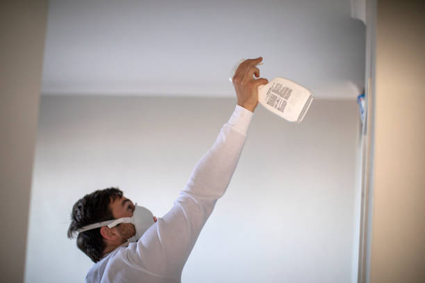 Best Health and Safety Mold Remediation in Victoria, VA