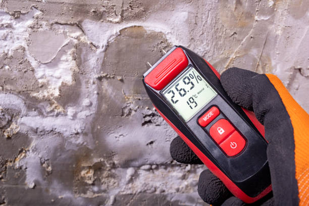 Best Post-Remediation Services in Victoria, VA