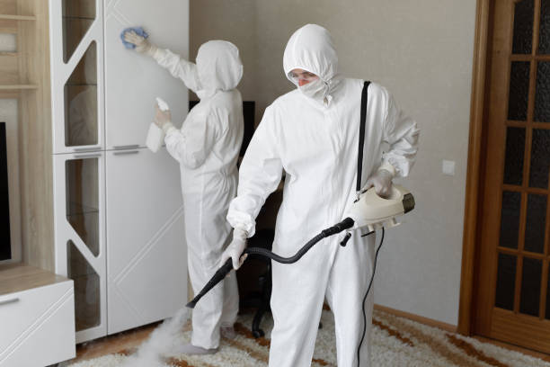 Best Residential Mold Remediation in Victoria, VA
